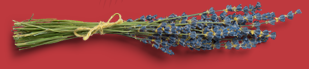 flowers-1-1.png